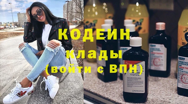 крисы Сясьстрой