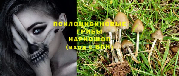 крисы Сясьстрой