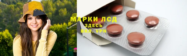 крисы Сясьстрой