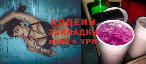 крисы Сясьстрой
